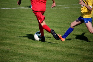 开云体育视频直播-中国足球俱乐部与国际知名足球学院合作，中国足球俱乐部和国家队