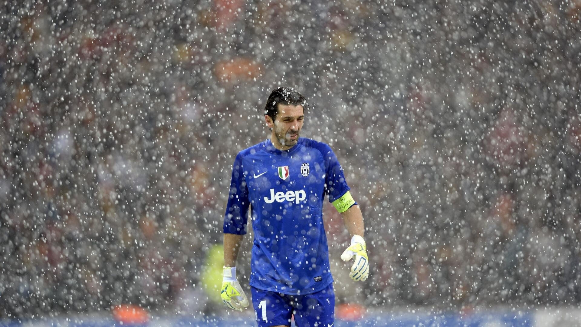 伊朗骑手阿里·巴赫蒂亚里在巴黎奥运会上与“Shahram”马匹共同参赛，尽管因马匹受伤被迫退出，但展现了坚强意志。